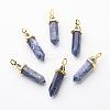 Natural Sodalite Double Terminated Pointed Pendants G-G902-B14-2