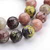 Natural Plum Blossom Jasper Beads Strands G-K152-07-10mm-2