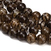 Tibetan Style dZi Beads Strands GG-CBA4812-B05-10MM-4