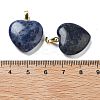 Natural Sodalite Pendants G-G956-B19-G-3