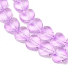 Transparent Glass Beads Strand GLAA-F112-01B-4