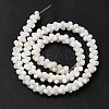 Natural Freshwater Shell Beads Strands BSHE-E026-17-3