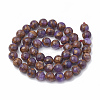 Natural Chalcedony Beads Strands G-S333-10mm-014A-3