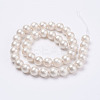 Wrinkle Textured Shell Pearl Beads Strands BSHE-F013-02-6mm-2