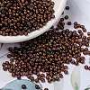 MIYUKI Round Rocailles Beads SEED-X0055-RR3761-1