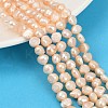 Natural Cultured Freshwater Pearl Beads Strands PEAR-P064-19H-02C-1