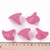 Transparent Acrylic Beads X-BSF796-C16-6