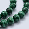 Natural Malachite Beads Strands G-F571-27AA1-7mm-3