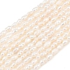 Natural Cultured Freshwater Pearl Beads Strands PEAR-F020-09-2