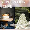 21Pcs Birthday Theme Mirror Effect Acrylic Birthday Cupcake Insert Card Decoration AJEW-SP0001-73B-4