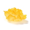 Transparent Resin Cabochons RESI-G027-01C-4
