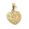 Ion Plating(IP) 304 Stainless Steel Micro Pave Cubic Zirconia Pendants STAS-Z107-04G-03-1