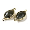 Natural Labradorite Faceted Connector Charms G-K347-03G-04-2