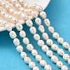 Natural Cultured Freshwater Pearl Beads Strands PEAR-I007-01F-04A-1
