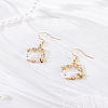 1 Pair Alloy Enamel Dangle Earrings EJEW-LP0007-067-3