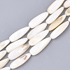 Natural Freshwater Shell Beads Strands X-SHEL-S274-73-1