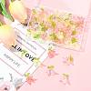 50Pcs Transparent Acrylic Pendants PALLOY-FS00043-04-7