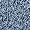 TOHO Round Seed Beads SEED-XTR11-1205-2