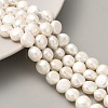 Natural Cultured Freshwater Pearl Beads Strands PEAR-A006-09F-1