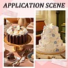 21Pcs Birthday Theme Mirror Effect Acrylic Birthday Cupcake Insert Card Decoration AJEW-SP0001-73B-5