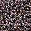 TOHO Round Seed Beads SEED-JPTR08-0556-2