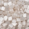 MIYUKI TILA Beads SEED-MY05-TL2592-3