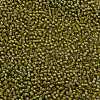TOHO Round Seed Beads SEED-JPTR11-0246-2