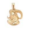 Ion Plating(IP) 304 Stainless Steel Pendants LS-STAS-D165-14G-03-1