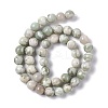 Natural Peace Jade Beads Strands X-G-G905-07-3