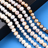Natural Cultured Freshwater Pearl Beads Strands PEAR-N013-05I-2