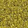 TOHO 8/0 Round Beads X-SEED-TR08-1013-3