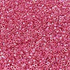 MIYUKI Delica Beads SEED-MY11-DB0075-3