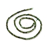 Natural Fuchsite Beads Strands G-C009-A14-3