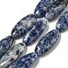 Natural Blue Spot Jasper Beads Strands G-B078-E07-01-1