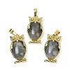 Natural Labradorite Pendant KK-F887-02G-09-1