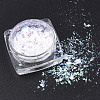 Holographic Chunky Glitter Nail Art Pigment Dust MRMJ-S015-009A-1