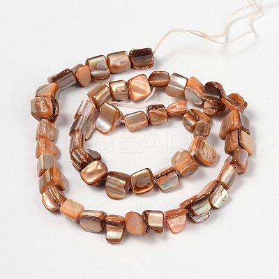 Erose Natural Shell Beads Strands PBB069Y-1