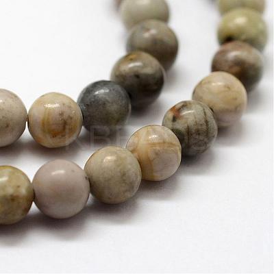Natural Polychrome Jasper/Picasso Stone/Picasso Jasper Bead Strands G-G667-01-6mm-1