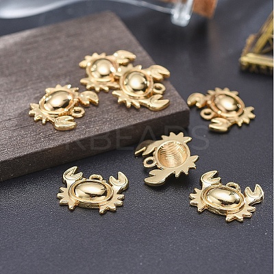 Alloy Pendants TIBEP-A040-040G-NR-1