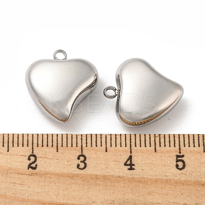 Non-Tarnish 304 Stainless Steel Pendants STAS-L022-197P-1