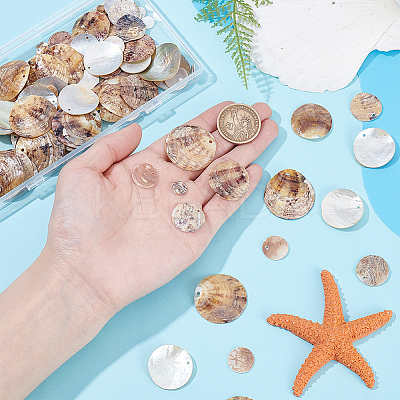 100Pcs 5 Styles Natural Akoya Shell Charms SHEL-HY0001-19-1