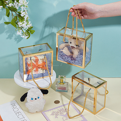 Foldable Hot Stamping Transparent PVC Packaging Boxes LS-CON-WH0123-24B-02-1