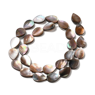 Natural Sea Shell Beads Strands SHEL-K006-39-1