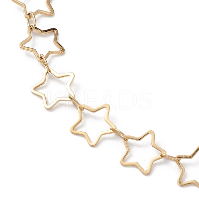 Ion Plating(IP) 304 Stainless Steel Star Link Chain Anklets for Men Women STAS-B039-14G-1