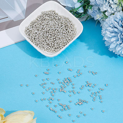 50G Glass Seed Beads SEED-PA0001-36B-01-1