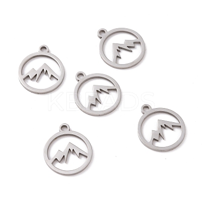 Non-Tarnish 201 Stainless Steel Charms LS-STAS-G281-01P-02-1