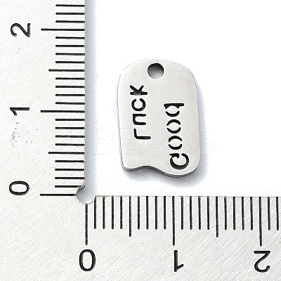 Non-Tarnish 304 Stainless Steel Charms X-STAS-C097-41P-1