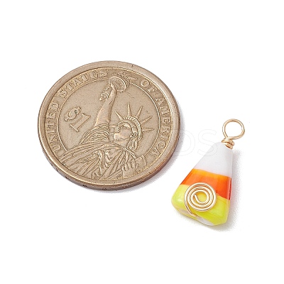Handmade Lampwork Pendants PALLOY-JF02666-1