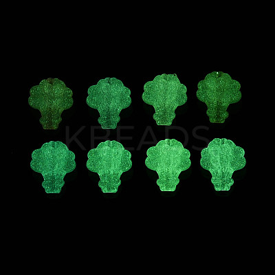 Luminous Frosted Transparent Acrylic Beads TACR-T029-22M-1