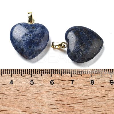 Natural Sodalite Pendants G-G956-B19-G-1
